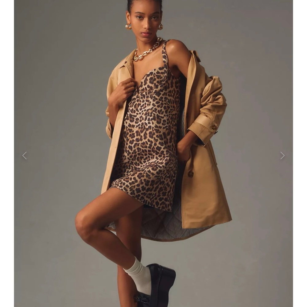 Anthropologie Dhruv kapoor Leopard mini dress